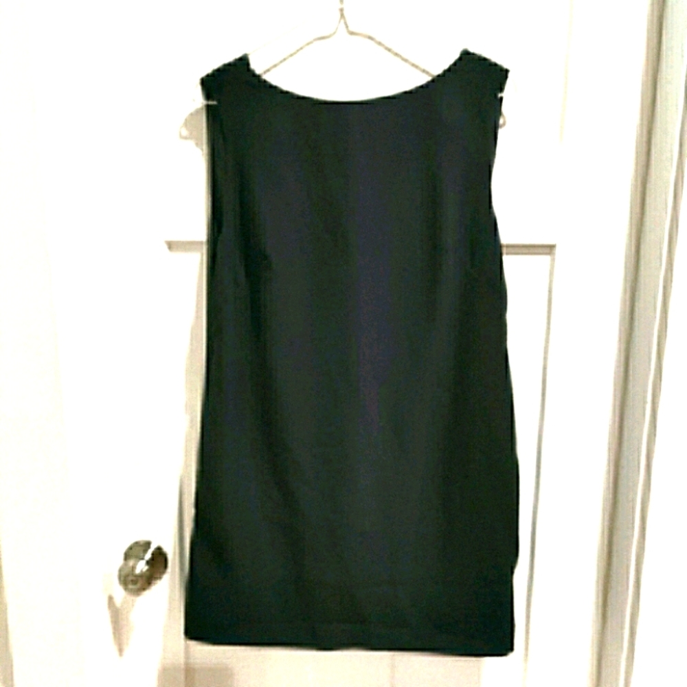 Banana Republic Mini Sheath